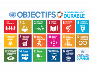 Représentation officielle des 17 ODD avec le code de chaque objectif, son thème et sa couleur distinctive.